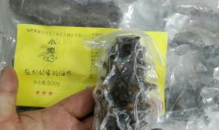 张奶奶海参 张奶奶海参